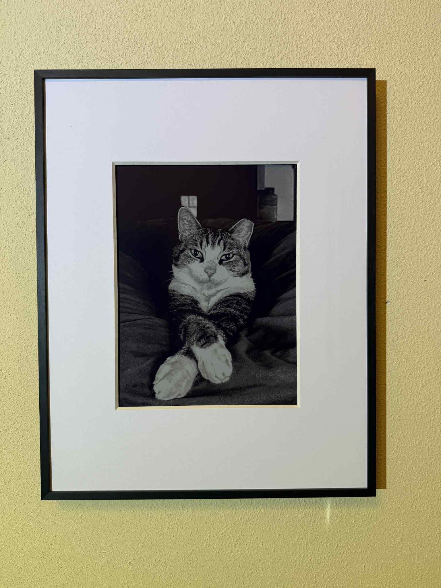 High definition black and white photo on Aluratek digital frame