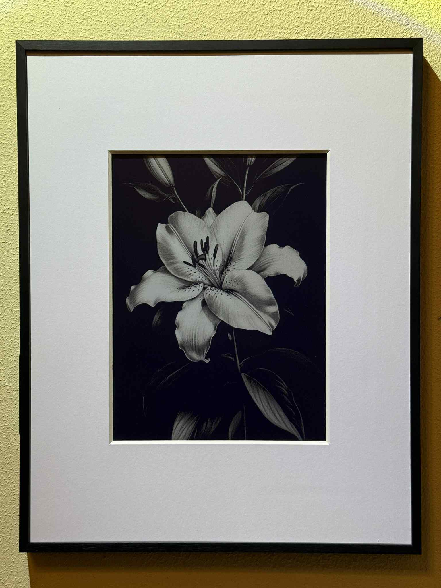 Black and white hand drawn flower on a digital photo frame